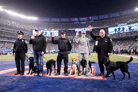 Puppies Behind Bars Program Provides Service Dogs .